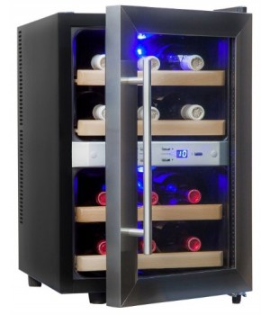 Винный шкаф Cold Vine C12-TSF2